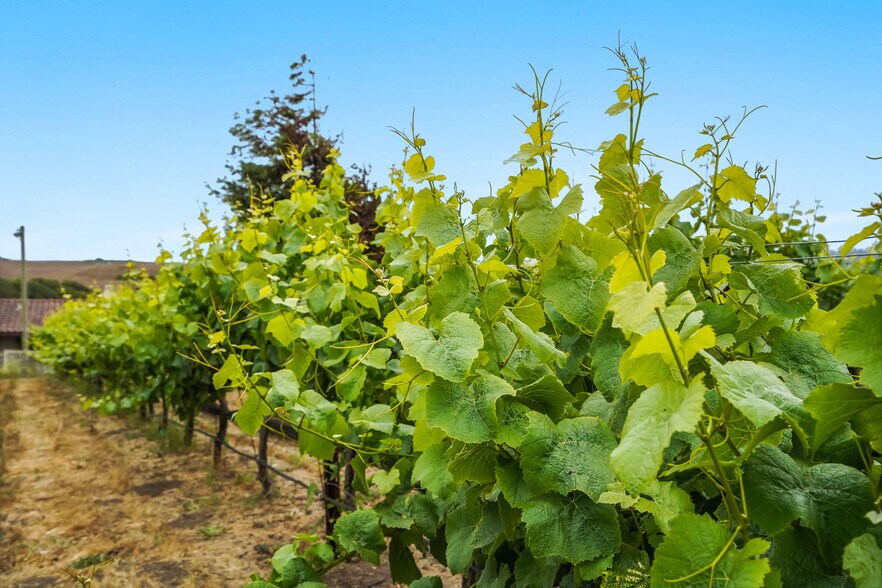 More Photos Of 12700 State Route 1, Point Reyes Station Land For Sale