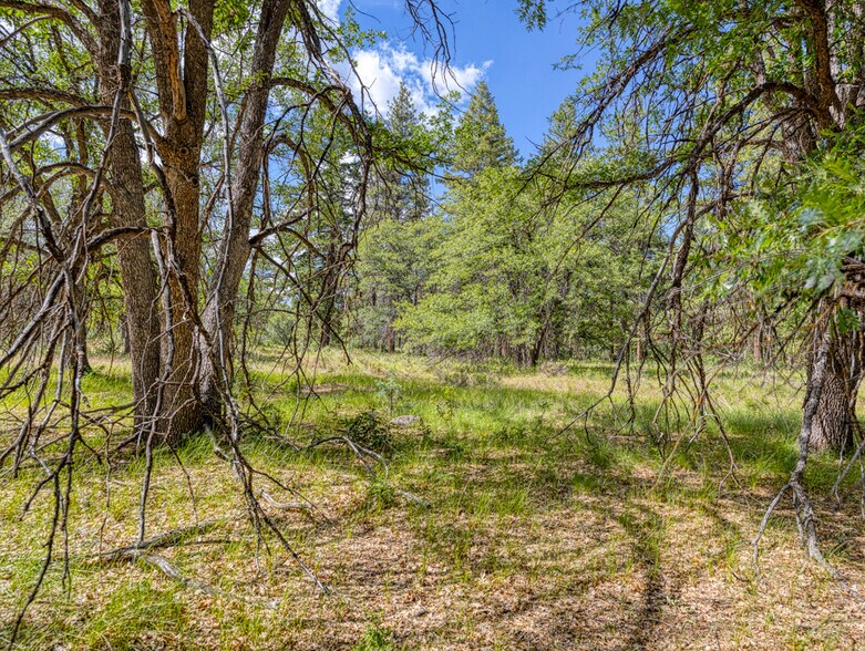 More Photos Of LP 1414 LP 1414 Highway 140 Hwy, Klamath Falls Land For Sale