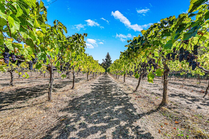 More Photos Of 1673 Woodland Dr, Port Townsend Winery Vineyard For Sale