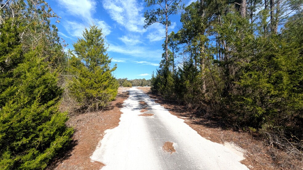 More Photos Of 13550 NW Old Fannin Rd, Chiefland Land For Sale