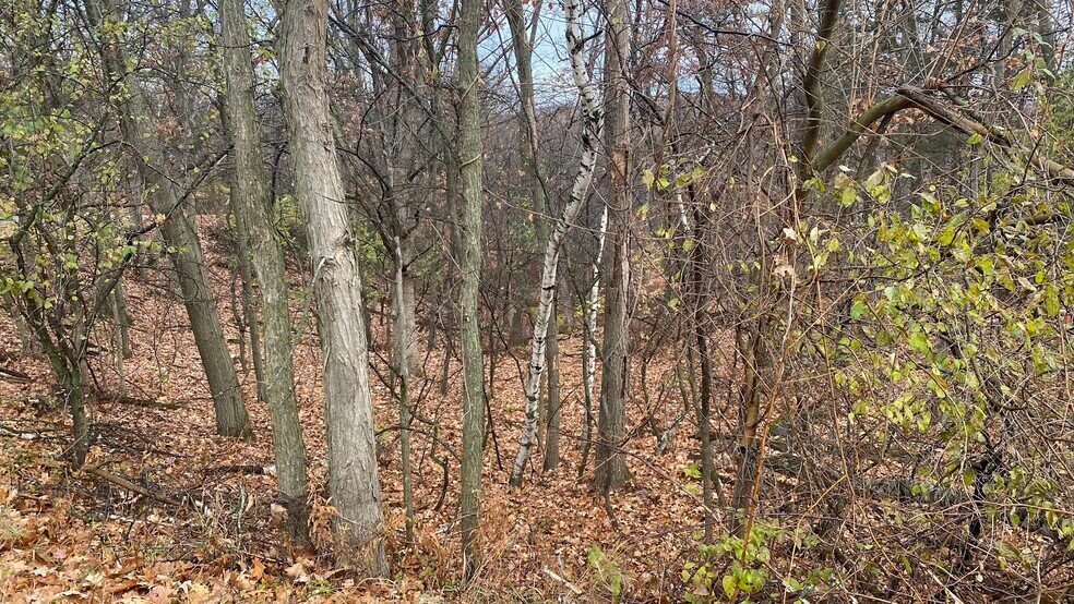 More Photos Of Lot 27-29 Hillside Dr, Wisconsin Dells Land For Sale