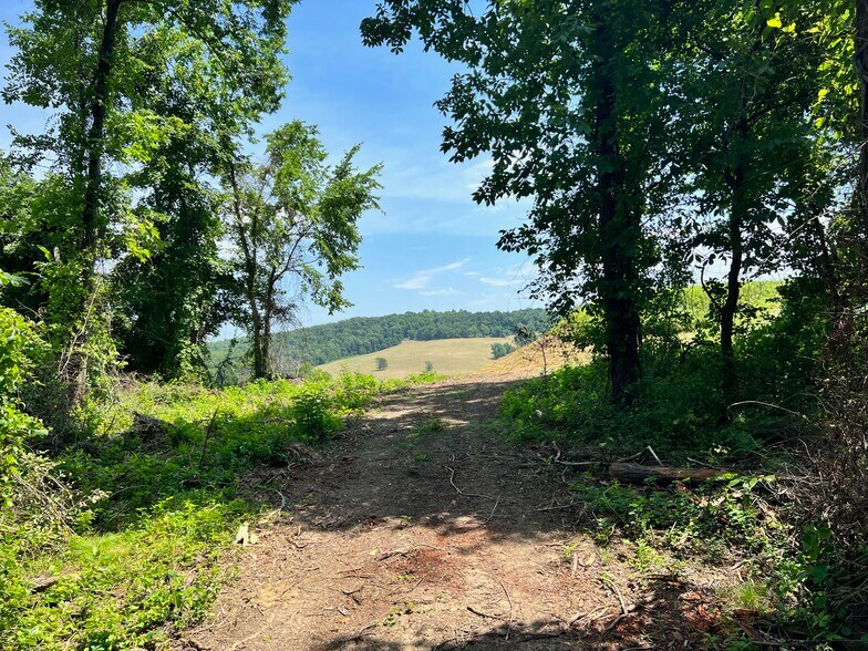 More Photos Of 312 Vance Dr, Burgettstown Land For Sale