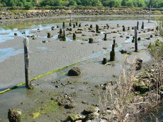 More Photos Of Hayes Oyster Dr, Bay City Land For Sale