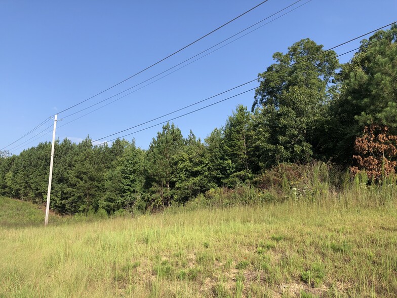 Primary Photo Of Highway 20, Cartersville Land For Sale