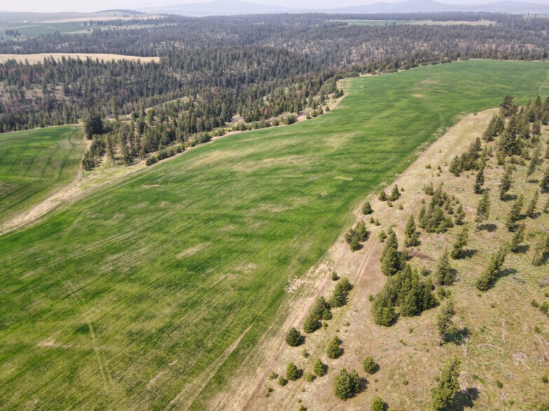 More Photos Of 45XXX Devore Rd, Davenport Land For Sale