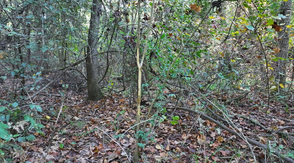 More Photos Of TBD CR 2041, Hull Land For Sale