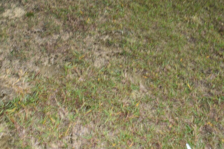 More Photos Of 441 Weaver Rd, Moultrie Land For Sale