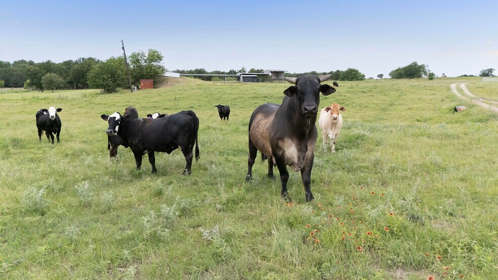 More Photos Of 51 County Road 436, Thrall Land For Sale