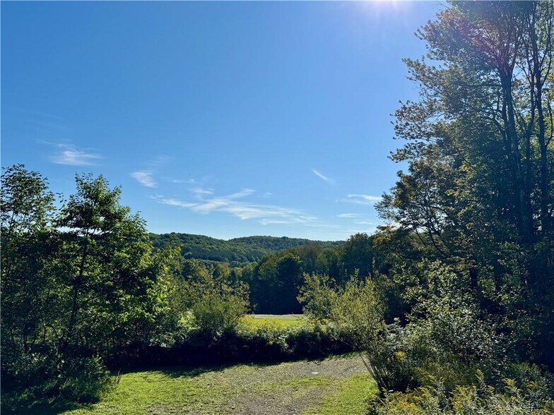 More Photos Of 175 Hovick Rd, Hartwick Land For Sale