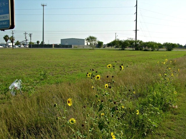 More Photos Of 6665 E 14th St, Brownsville Refrigeration Cold Storage For Sale