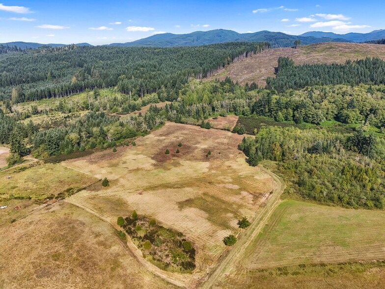More Photos Of 104 Bills Ln, Onalaska Land For Sale