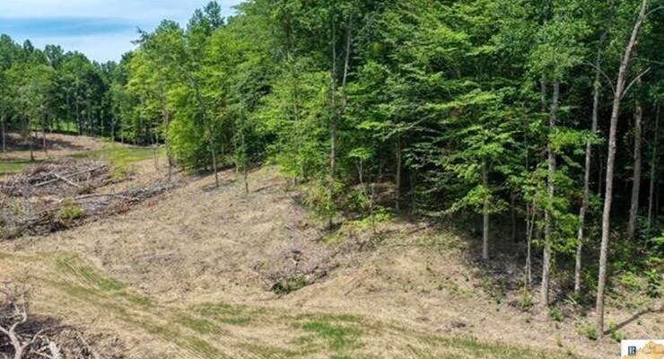 More Photos Of 0 Wilderness Road, Mammoth Cave Land For Sale