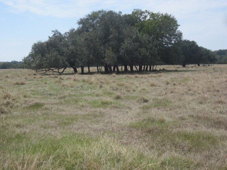 More Photos Of 3671 W Fm 1093 Rd, Wallis Land For Sale