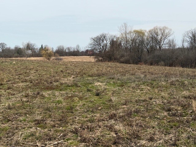 More Photos Of Approx. 4593 S Madison Rd, Madison Land For Sale