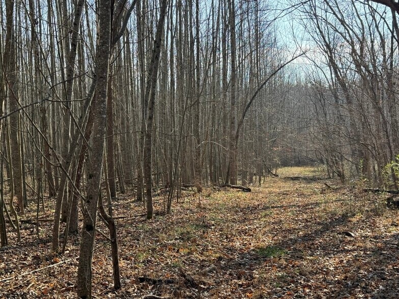 More Photos Of 4604 Summersville Rd, Campbellsville Land For Sale