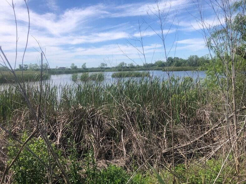 More Photos Of TBD County Road 210, Danbury Land For Sale