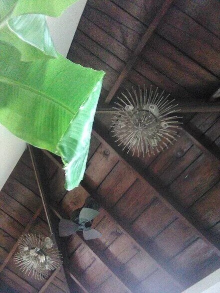 More Photos Of 2038 Grant Ave, Philadelphia Specialty For Sale