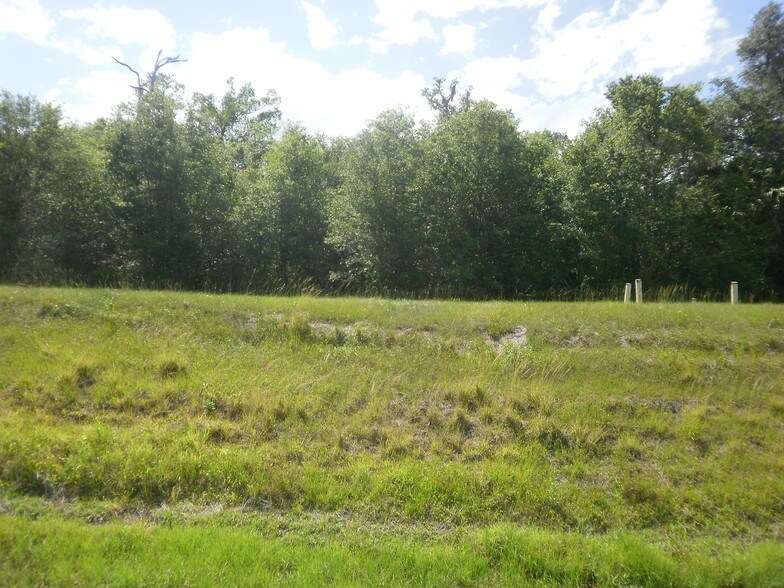 More Photos Of Cortez Blvd @ Near Mobley Road, Brooksville Land For Sale