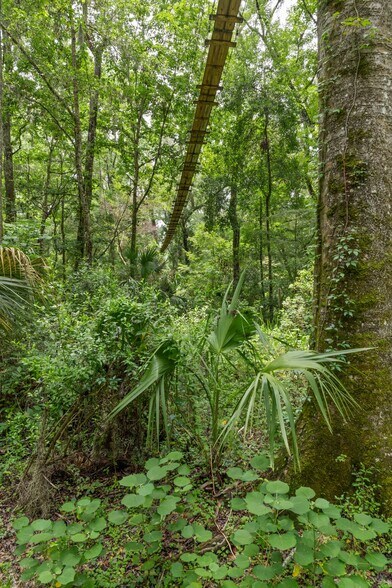 More Photos Of 6440 Cedar Ln, Brooksville Sports And Entertainment For Sale