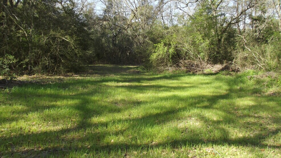 More Photos Of 24030 Hegar Rd, Hockley Land For Sale