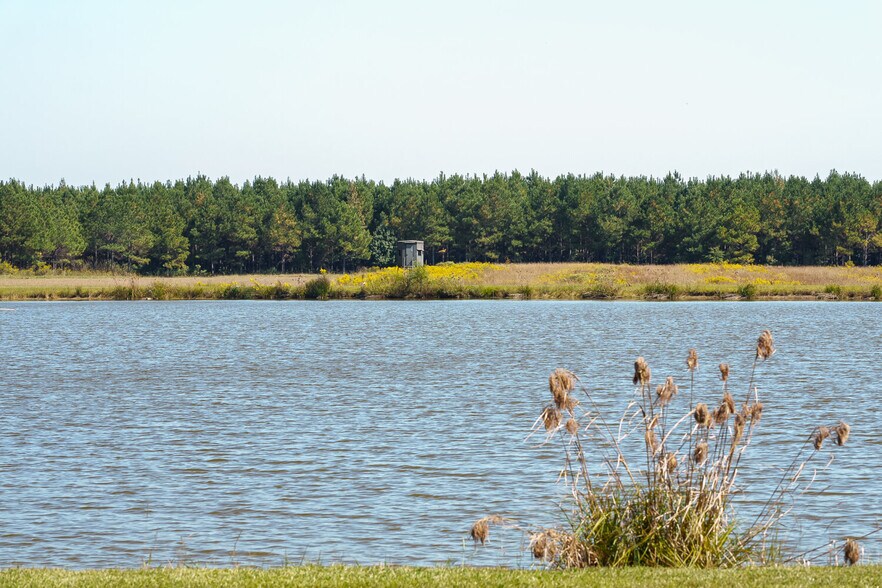 More Photos Of 18618 Hwy 43, Linden Land For Sale