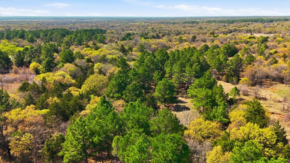 More Photos Of 2548 County Road 2690, Alvord Land For Sale