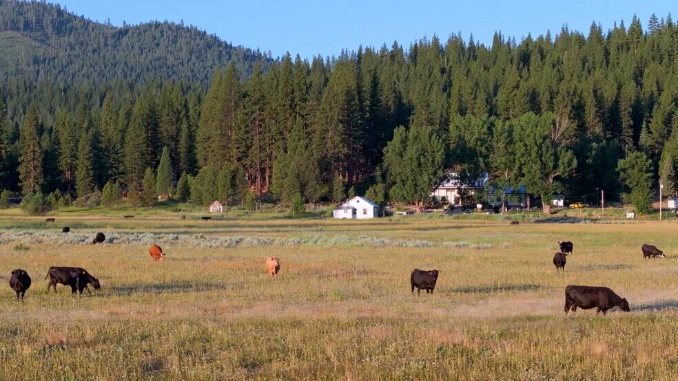 Primary Photo Of 521 Campbell Hot Springs Rd, Sierraville Hotel For Sale