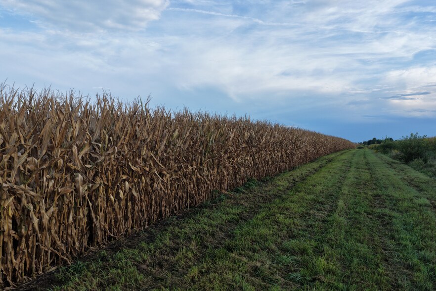 More Photos Of State Highway 16, Stockport Land For Sale
