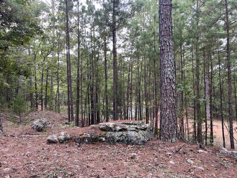 More Photos Of 27546 Reservation Rd, Daisy Land For Sale