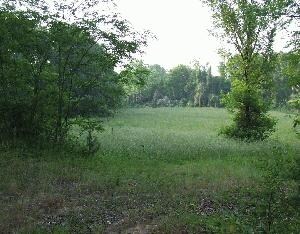 More Photos Of 230 Highway 51 S, Hernando Land For Sale