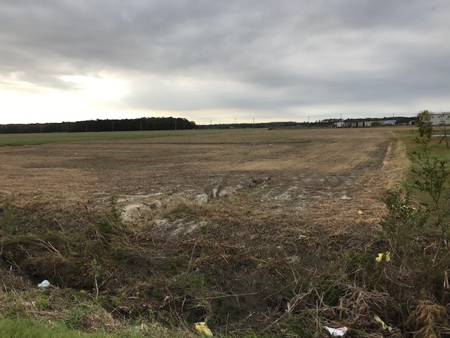 Primary Photo Of 1905 Weeksville Rd, Elizabeth City Land For Sale