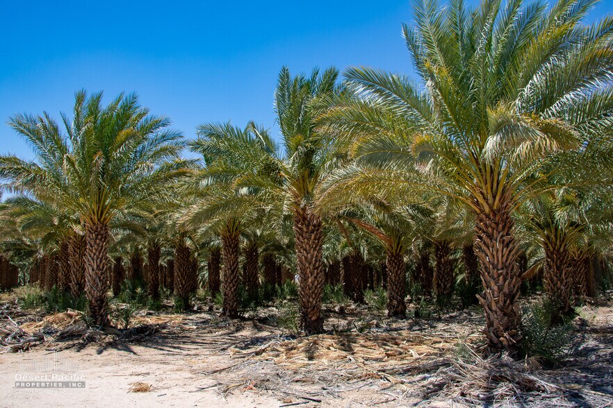 More Photos Of ,  Land For Sale