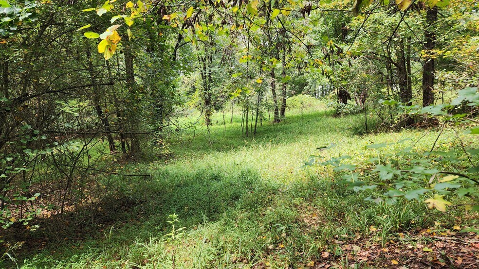 More Photos Of 1661 Friendship Rd, Hoschton Land For Sale
