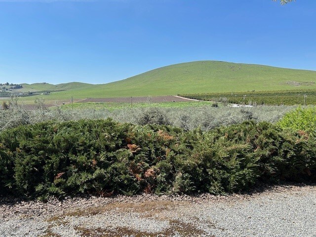 More Photos Of 24257 Ave 234, Lindsay Land For Sale