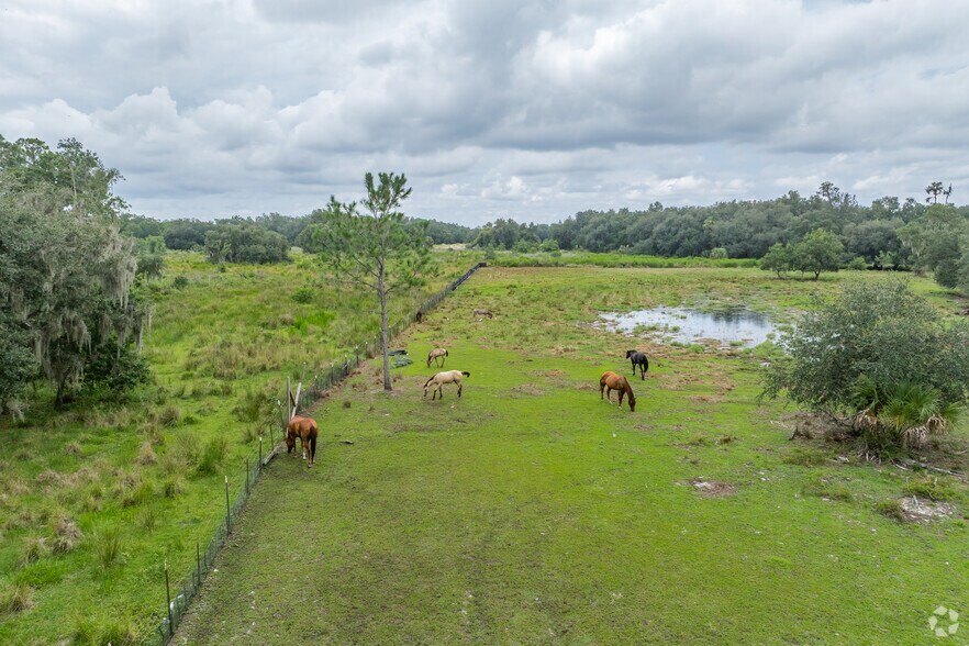 More Photos Of 1480 Coronet Rd, Plant City Land For Sale