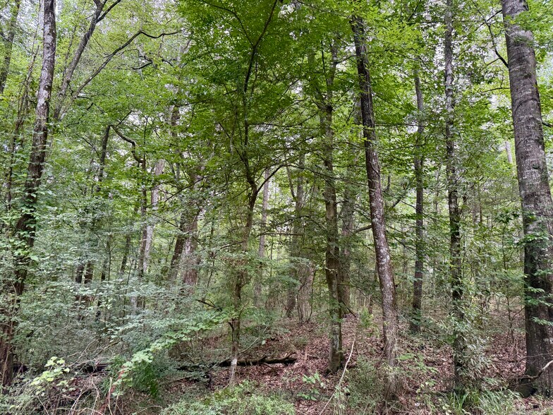 More Photos Of 2194 MS-570, Summit Land For Sale