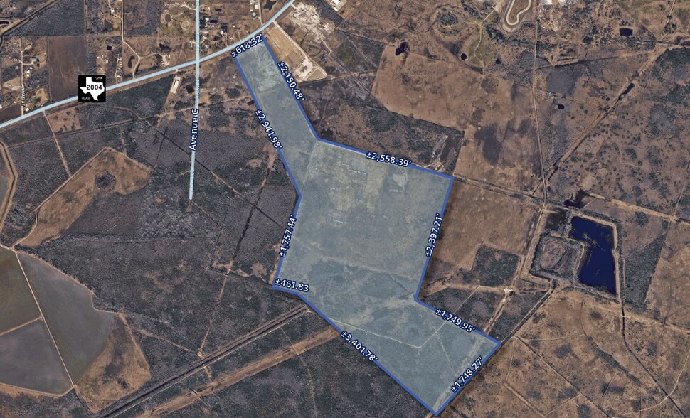 Primary Photo Of FM 2004, Hitchcock Land For Sale