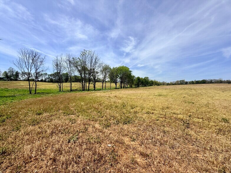 More Photos Of 4132 KY Highway 36 W, Cynthiana Land For Sale