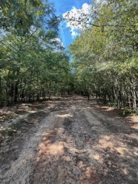 More Photos Of 21805 U.S. HWY 69S hwy, Bullard Land For Sale