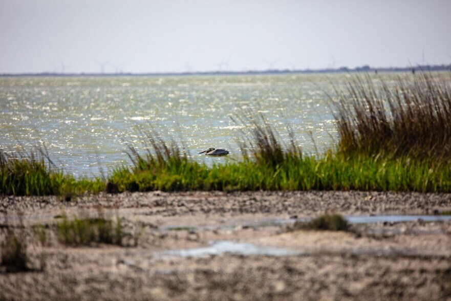 More Photos Of 1751 FM 1781, Rockport Land For Sale