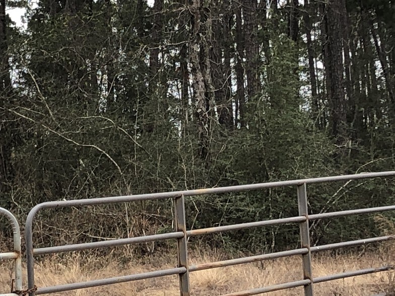 More Photos Of 11900 Seven Coves Rd, Willis Land For Sale