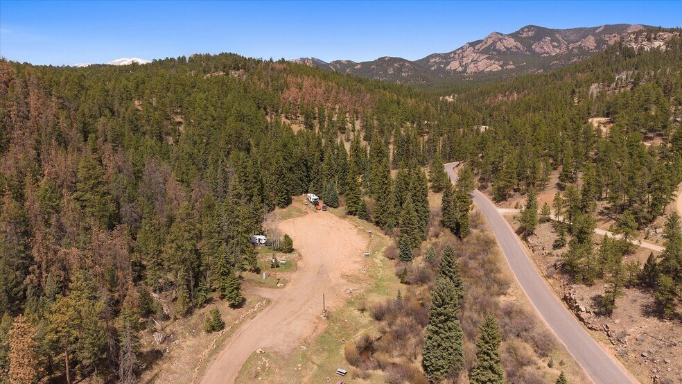 More Photos Of , Pine Land For Sale