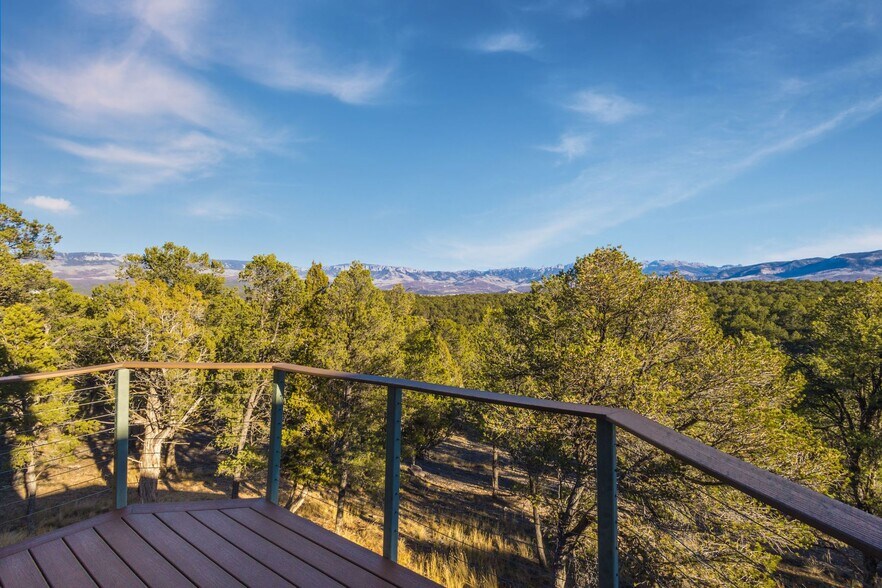 More Photos Of 622 Bristlecone Dr, Ridgway Flex For Sale