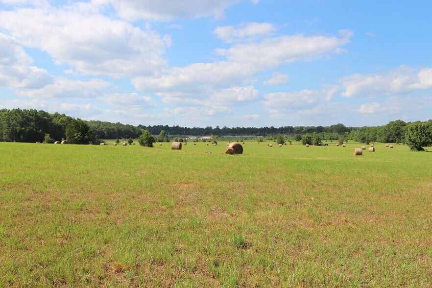More Photos Of 278 Highway 64 E, Conway Land For Sale