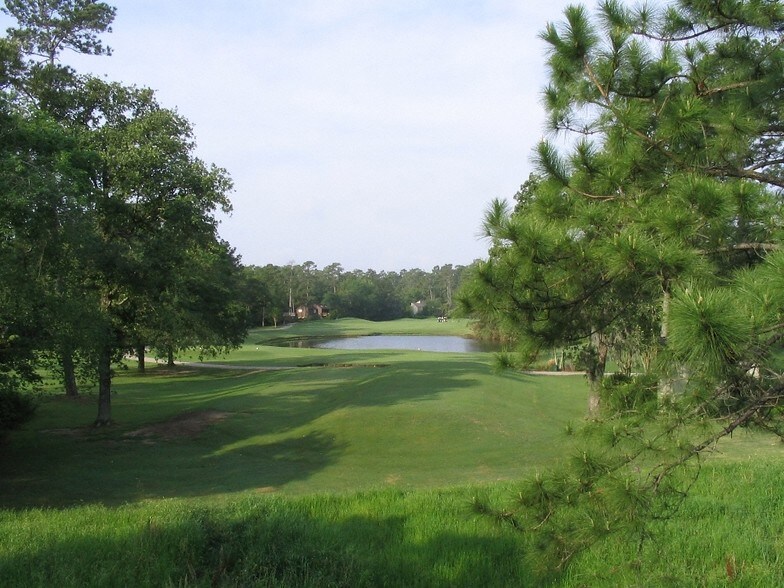 More Photos Of 1717 Woodstead Ct, Spring Office For Lease