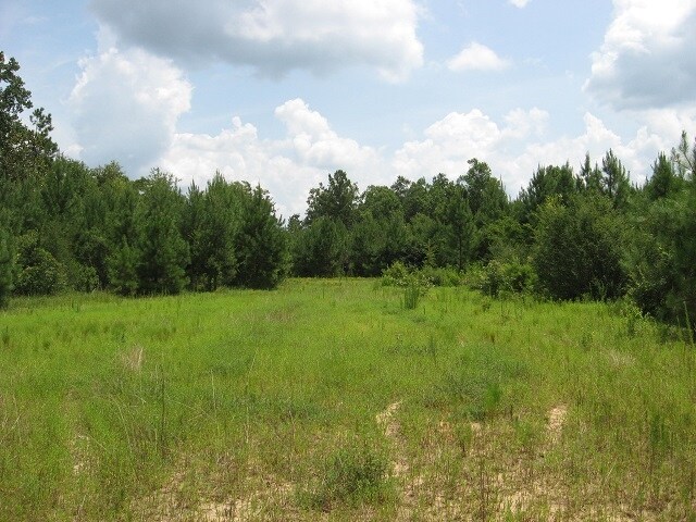 More Photos Of 189 Acres In Jones County Ms, Ellisville Land For Sale