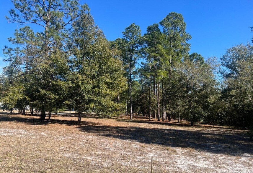 More Photos Of 921 S Moody Rd, Palatka Land For Sale