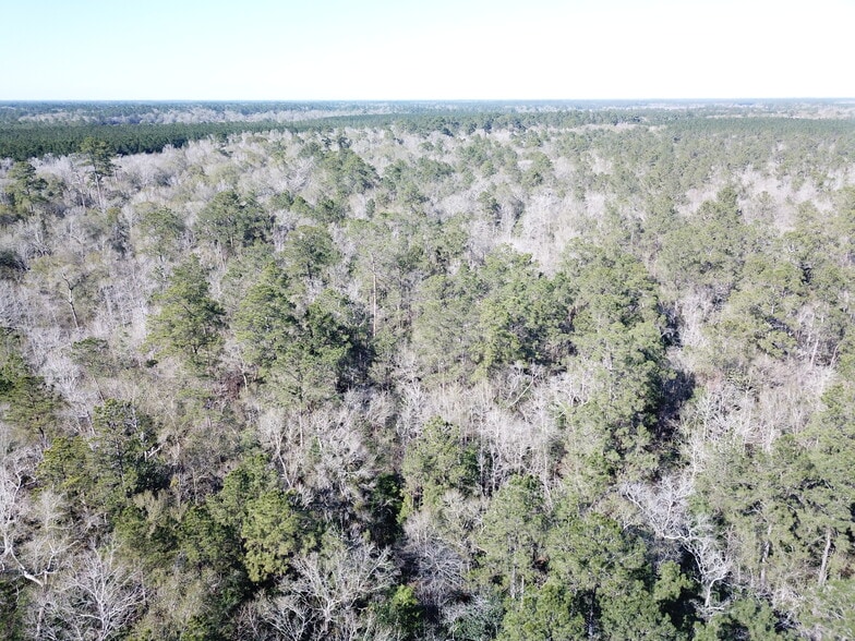 More Photos Of Corrigan Road, Vidor Land For Sale