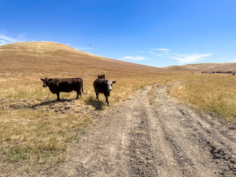 More Photos Of 320.00 +/- Acres of Grazing Land, Mc Farland Land For Sale
