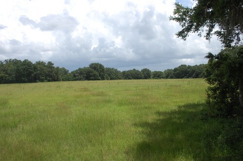 More Photos Of 4107 NE 255th Dr, Melrose Land For Sale